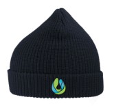 Michael Park School (Atlantis Woolly Beanie) 